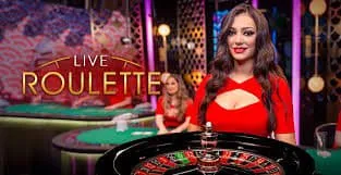 hm77k Live Table Offer